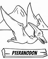 Pteranodon Coloring Sheet Dinosaur Print sketch template