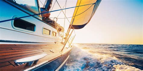 yachting  good career industry advice flying fish