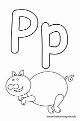 Letter Outline Pig Alphabet Flashcard Coloring Info Thelearningsite Learning Site sketch template