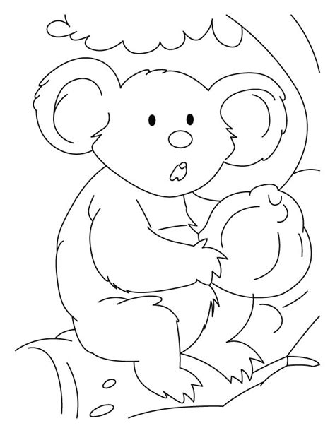 koala  animals printable coloring pages