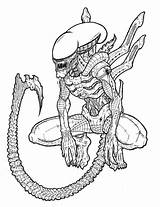 Xenomorph Predator Predador Lineart Xenomorphs Predators sketch template