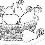 Pears Basket Coloring Surfnetkids Pages sketch template