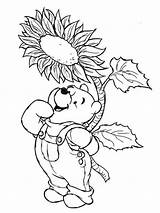 Pooh Winnie Girasoli Stampare Kleurplaten Easter Tekeningen sketch template