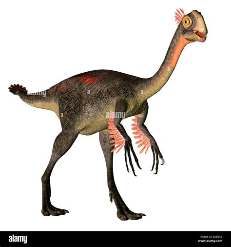 gigantoraptor dinosaur stock photo  alamy