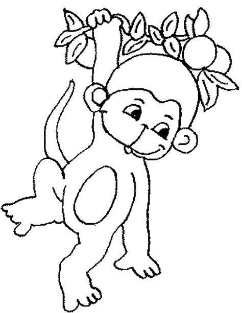 cute baby monkey hanging  tree coloring page  kids cute baby