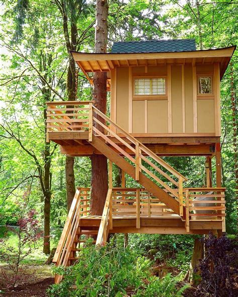ideas  amazing tiny treehouse kids architecture modern luxury treehouse interi