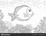 Dibujo Peces Arrecife Fish sketch template