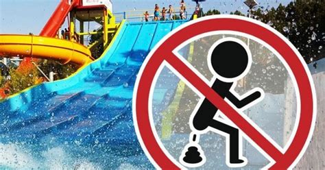 grim tourists poo in water parks and swimming pools in
