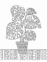 Printable Houseplants 30seconds Lovers sketch template