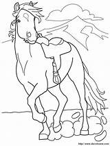 Cheval Cavaliere Pony Cavalos Colouring Reiter Vrai Wo Aber Print Caballo Cavalgando Chevaux Disegno Wallpapers Grass Stampata Duna Tagliata Pferde sketch template
