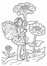 Coloring Zinnia Flower Pages Getcolorings Fairy sketch template