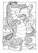 Cocodrilos Dibujo Kleurplaat Krokodillen Crocodiles Coccodrilli Coccodrillo Malvorlage Crocodile Krokodile Krokodil Große Schulbilder Moeilijke Målarbild Krokodiler Educolor Ausdrucken Grandes Kleurplaten sketch template