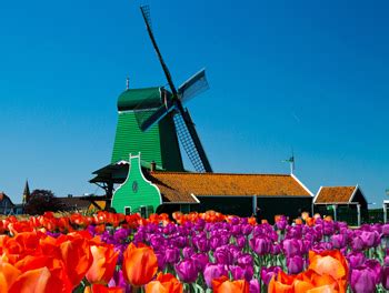 group travel brokers holland