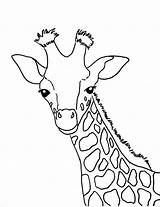 Giraffe Drawing Face Coloring Baby Pages Printable Drawings Mask Kids Getdrawings Paintingvalley Sheets sketch template