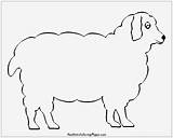 Lamb sketch template