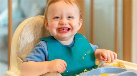 puree food  baby led weaning      famous parenting