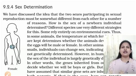Sex Determination Class 10 Science Ncert Youtube
