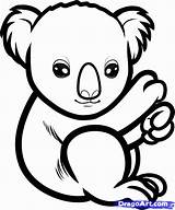 Koala Draw Baby Coloring Bear Drawing Pages Cute Outline Step Line Color Kids Simple Clipart Sketch Bears Animals Colouring Koalas sketch template