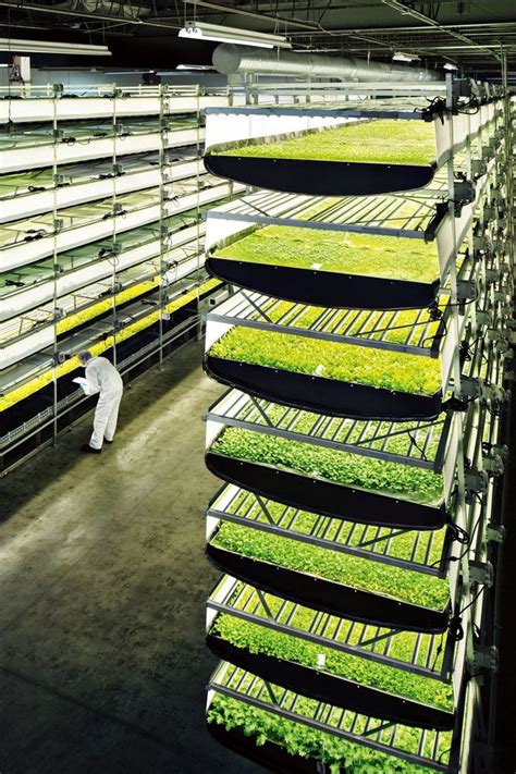 worlds largest vertical farm indoor farm