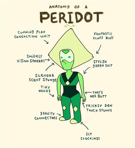 anatomy of a peridot steven universe know your meme