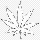Leaf Weed Pot Outline Cannabis Clip Drawing Coloring Transparent Book Clipart Vector Clker sketch template