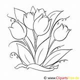 Tulpen Malvorlage Erstaunlich Ausmalbild Frisch Malvorlagenkostenlos Tulips Blumenzeichnung sketch template