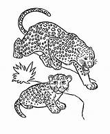 Baby Coloring Pages Leopard Mother Getcolorings Printable sketch template