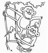 Colorir Macaco Animais Macacos Singe Imagens Rigolo Inprime Floresta Impressionnant Colorier Jouent Singes Deux Postado Marcadores Coelho Kawaii sketch template