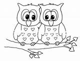 Coruja Pintura Corujas Riscos Lechuzas Lechuza Dibujar Owl Embroidery Balão Relieve Bordar Buhos Pintados Owls Pelúcia sketch template