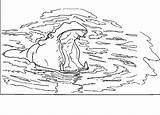 Hippo Coloring Pages Ausmalbilder Hippos Ausmalbild Ausmalen Animated Coloringpages1001 Gifs Animals Mit Tiere Pinnwand Auswählen sketch template