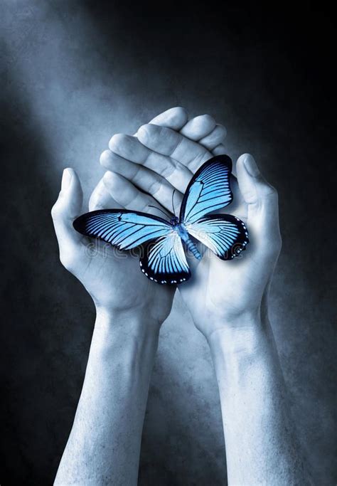 pin  hands  butterflies