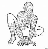 Spiderman Pages Simple Coloring Spider Getdrawings sketch template