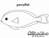 Parrot Fish Coloring Pages Getcolorings Color Printable Print Template sketch template