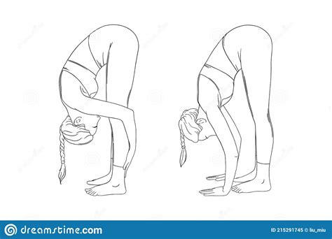 stretching yogi woman hatha yoga  fold pose vector