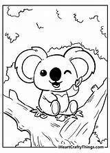 Koala Iheartcraftythings Sheet Pew sketch template
