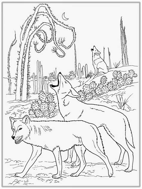 wolves coloring pages  adults thousand    printable