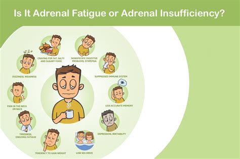 Know The Difference Adrenal Fatigue Vs Adrenal Insufficiency