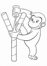 Curious George Coloring Pages Glue Parentune Worksheets sketch template