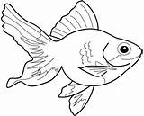 Coloring Bluegill Getdrawings Pages sketch template