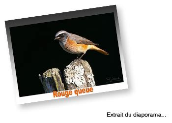 images gratuites