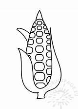 Corn Cob Leaves sketch template