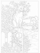 Coloring Pages Dover Doverpublications Cat Books sketch template