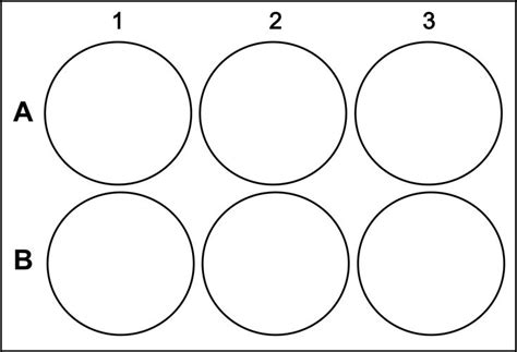 circles  shown   shape   circle  numbers