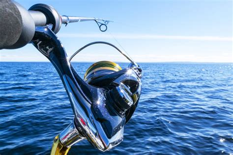 inshore spinning reels  buying guide review