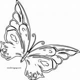 Coloring Butterfly Wecoloringpage Pages sketch template
