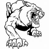 Wildcat Clipart Drawing Mascot Cliparts Claw Tattoo Wild Cat Jaguar Football Library Drawings Clip Bobcat Colorless Evil Animated Wildcats Designs sketch template