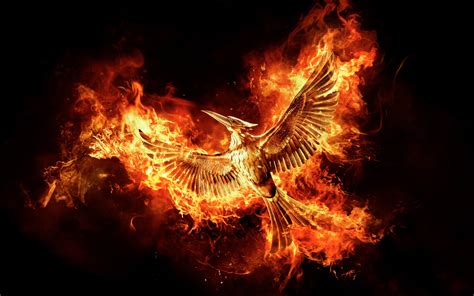 hunger games mockingjay part   hd movies  wallpapers images backgrounds