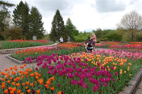 bloomin  time  visit americans  botanical garden news