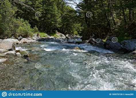 shallow river  clear     rocks   bottom stock photo image  motion