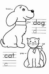 Coloring Pages Kindergarten Learning Kids Cat Sheets Educational Choose Board sketch template